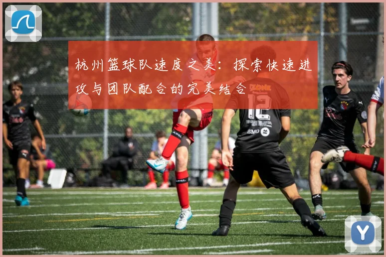 杭州篮球队速度之美：探索快速进攻与团队配合的完美结合