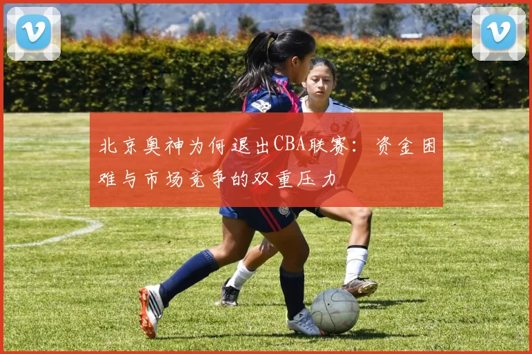 北京奥神为何退出CBA联赛：资金困难与市场竞争的双重压力