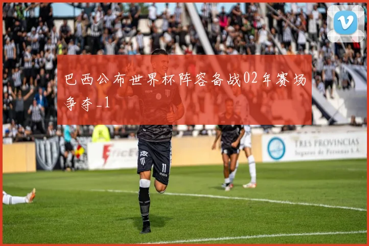 巴西公布世界杯阵容备战02年赛场争夺_1